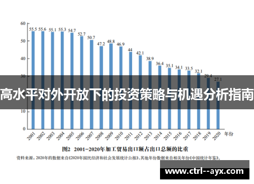 高水平对外开放下的投资策略与机遇分析指南 高水平对外开放下的投资策略与机遇分析指南
