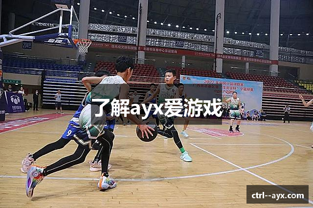 了解ayx爱游戏